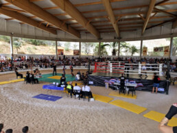 El Kickboxing Coleta conquista nueve medallas en el Sports Summer Day 2026